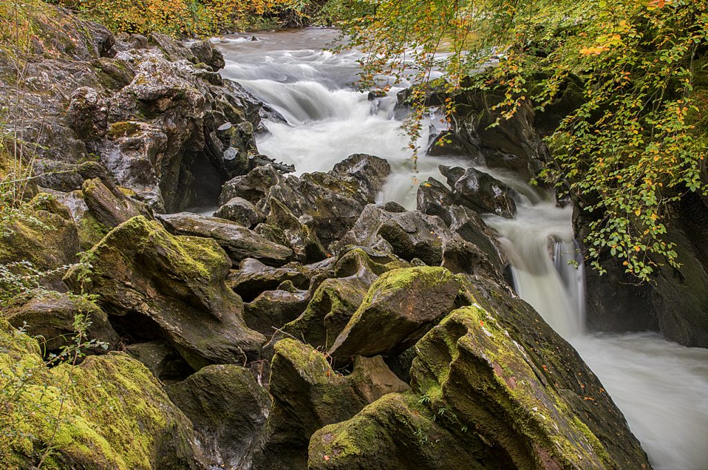 River Coe, Close up 4222
